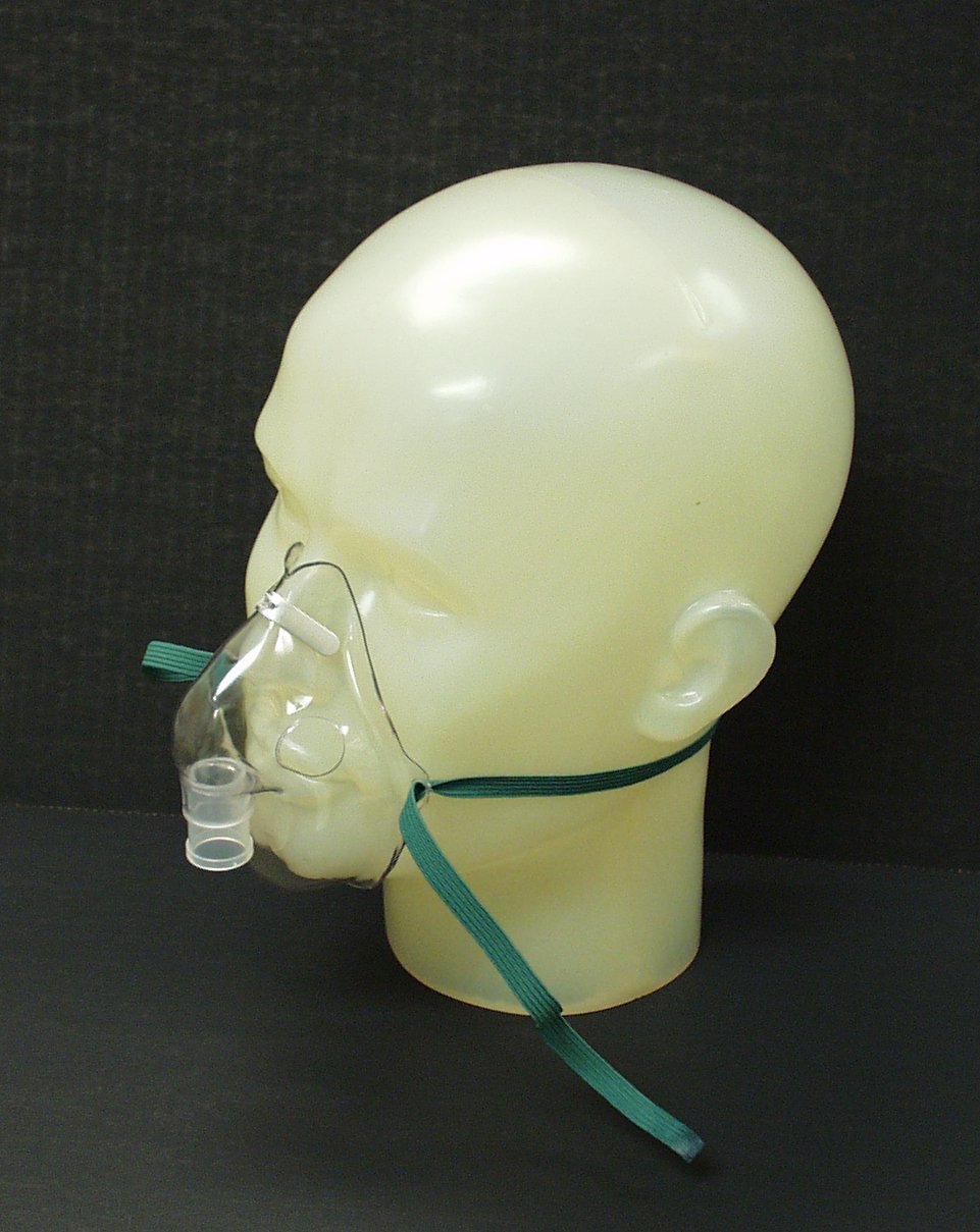 Salter Labs Aerosol Face Mask