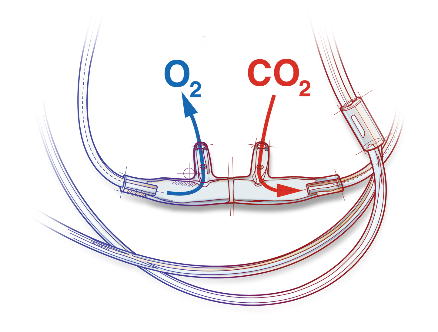 Salter-Style ETCO2 Nasal Sampling Cannula with O2
