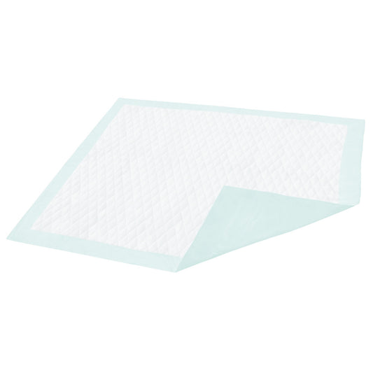 Dignity Light Absorbency Underpad, 23 x 26 Inch
