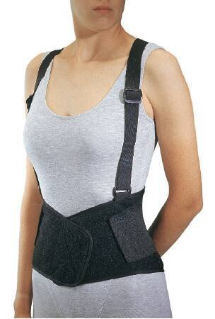 ProCare Industrial Back Support, Large