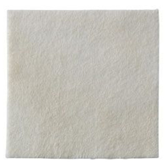 Biatain Ag Silver Alginate Dressing, 2 x 2 Inch