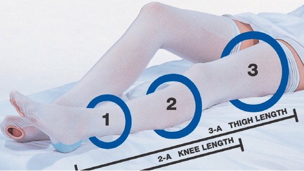 CAP Thigh High Anti-embolism Stockings, Extra Large / Short