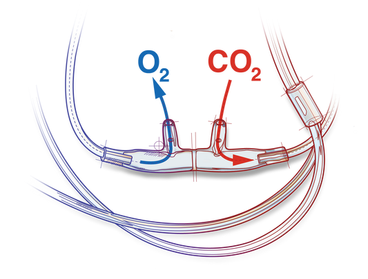 Salter-Style ETCO2 Nasal Sampling Cannula with O2