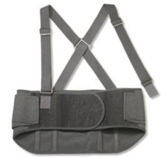 ProFlex Standard Back Support, Large