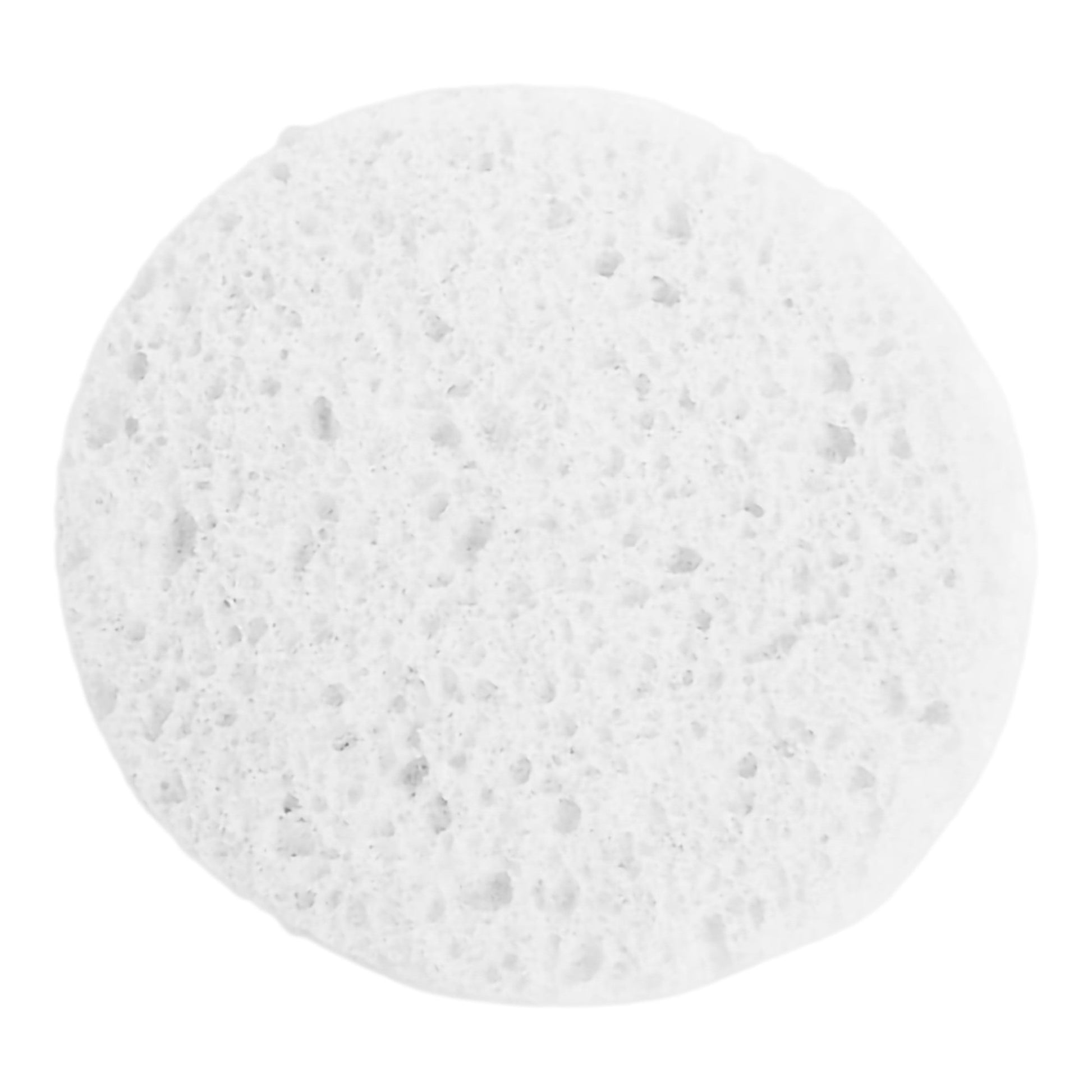 Prosana Facial Sponge